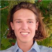 Erfahrungen als Nachhilfelehrer bis zur 10. Klasse