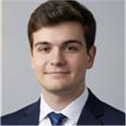 Lezioni online di fisica fatte da uno studente di ingegneria