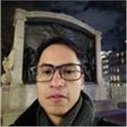 Maestro desde nivel básico hasta univeritario