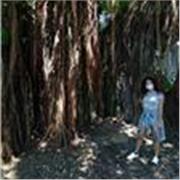 Profesora de Antropología, filosofía y otras Ciencias ofrece sus servicios a estudiantes de escuela e incluso universitarios