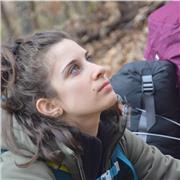 Offro lezioni private, ripetizioni e aiuto compiti a bambini in fascia d'età scolare.