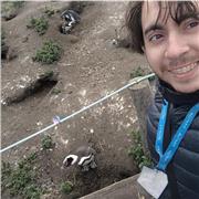 Abogado y docente de filosofía, historia, formación ciudadana e inglés.