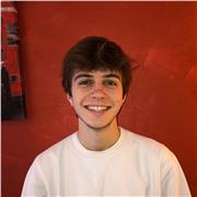 Studente di Ingegneria offre lezioni di Matematica e Fisica a studenti delle medie o delle superiori