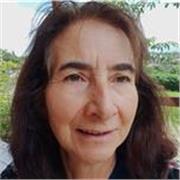 Profesor particular en diversas áreas presencial y online