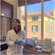 Ripetizioni di matematica medie e superiori