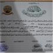 Would you want to learn about islam
And Islamic books and quran 