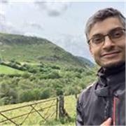 English tutor with native fluency keen to teach all levels.
