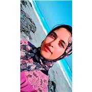 Nour El-Hendawy