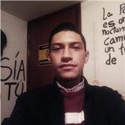 Doy clases de apoyo escolar para Basica primaria y primera infancia en todas la áreas del conocimiento