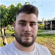 Profesor de programación ideal para principiantes de cualquier lenguaje.