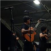 Profesor de guitarra y técnica con formación y experiencia en música andina y guitarra clásica