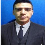 Profesor de Matemáticas, Inglés, Física desde primaria, secuandaria hasta universidad