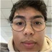 Secondary/GCSE/A-Level Mathematics tutor. Masters' Degree in Economics. Two years experience.