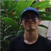 Profesor de Matemáticas Online - Trabajo Remoto