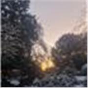 I am a motivated person, life skills, wellbeing and coaching on time/work management also coaching interviews and applications