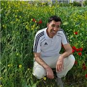 Tax law, administrative law, human rights law and EU law