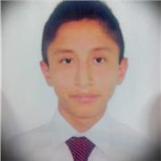 Profesor de educación primaria