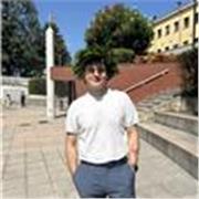 Ingegnere offre lezioni private online di matematica per ogni livello. 