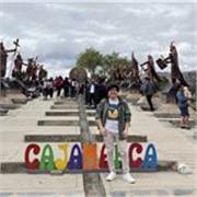 Ingeniero en electrónica y telecomunicaciones con amplios conocimientos en matemáticas