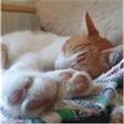 Ich biete Mathe Nachhilfe für Klasse, um meine Träume zu finanzieren