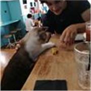 Madrelingua inglese offre lezioni, ripetizioni e corsi di conversazione individuali per studenti e adulti. Disponibile nei weekend