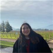 Clases particulares online de apoyo en actividades de aula