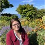 Profesor especialista en Geometría, atiende a estudiantes nivel básico y Enseñanza Media