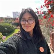 Tutorías de Inglés (Básico e Intermedio)