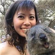CLASES ONLINE DE JAPONÉS PARA TODOS LOS NIVELES