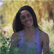 Ashtanga, Hatha, Dinamico