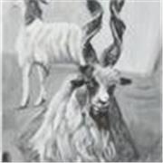Clases online de pintura acrilica animales y figura humana