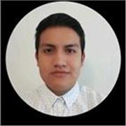 Maestro en el área de matemáticas para niños y adolescentes