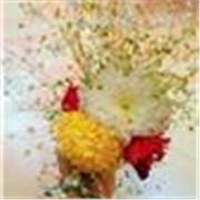 I’m a friendly and structured online tutor who helps students learn effectively through personalised lessons, clear explanations, 