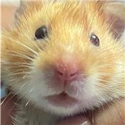 Psicólogo da clases de distintos ramos a niños de todas las edades