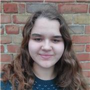 I'm a sixth form student with all As at GCSE, looking to teach GCSE level or below