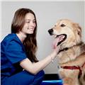 Clases particulares para futuros auxiliares técnicos veterinarios