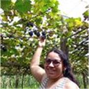 Aulas de Língua Portuguesa e Língua Espanhola