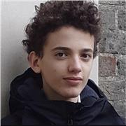 Tailored maths lessons for GCSE and A level students