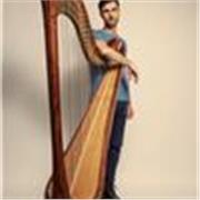 Professional harpist with 15 years of experience offers harp lessons for all ages and levels