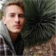 Languages teacher provides for Italian grammar and conversation classes for foreign people