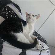 Emilie