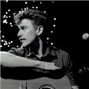 I am a musician teaching guitar at beginner - intermediate levels