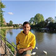 Maths tutor teaching GCSEs and A-Levels, teaching Further Maths as well