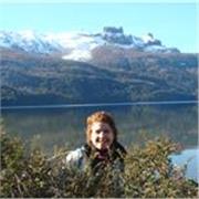 Aprende Python Pandas Java Excel Power BI SQL Front end