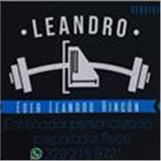 Dicto clases de entrenamiento funcional, gym, acondicionamiento físico. Soy certificado