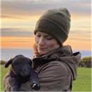 Englisch-Nachhilfe - auf dich abgestimmt! Ich biete persönliche Nachhilfe, ganz gleich in welcher Klasse du bist