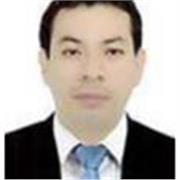 PROFESOR DE PROGRAMACION O DESARROLLO DE SOFTWARE