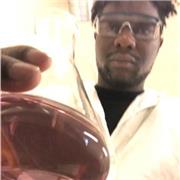 Insegnante di Italiano (anche per stranieri) - Italian teacher (also for foreigners)