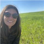 Insegnante di materie grafiche