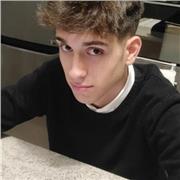 Cerchi aiuto per materie come italiano? 
Credo di poter fare al caso tuo... volendo posso anche darti altri suggerimenti per altre discipline ;)